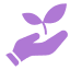 plant-leaf